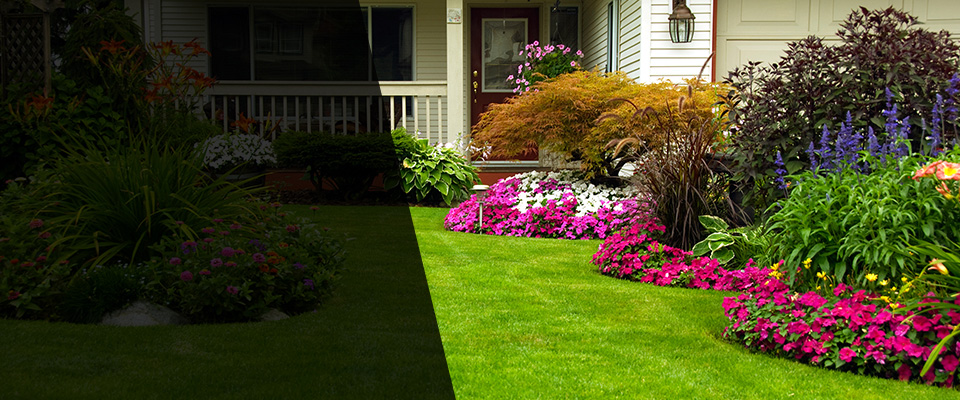 Sacaton Landscapers