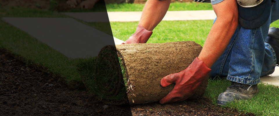 Sacaton Landscapers